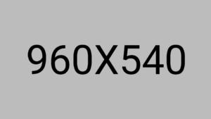 Praesent libro se cursus ante